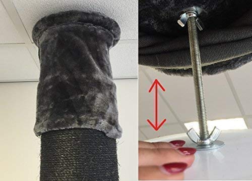 RHRQuality Tiragraffi per Gatti Grandi XXL Maine