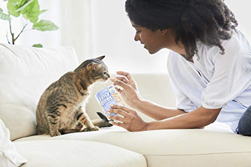 INABA Juicy Bites Grain-Free, Soft, Moist, Chewy Cat Treats with Vitamin E and Green Tea Extract, 0.4 Ounces per Pouch… - Image 4