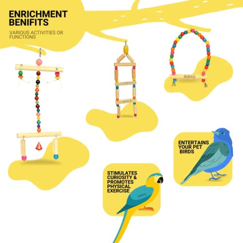 BuraQ-Birds-Heavens-Kit-Including-All-Neccasary-Items-with-2-Ft-Bird-Cage-Double-Gate-Foxtail-Kangni-3-Pcs-Bird-Toys-Calcium-Block-Birds-Litter-Spray-2-FT-Bird-CAGE-Black