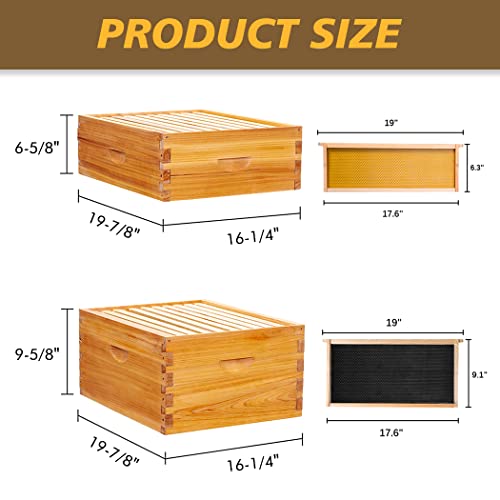 MayBee 10-Frame Langstroth Beehive Dipped in 100% Beeswax, Complete Bee Hives and Supplies Starter Kit Includes 2 Deep Hive Bee Box and 2 Bee Hive Super with Beehive Frames and Foundation