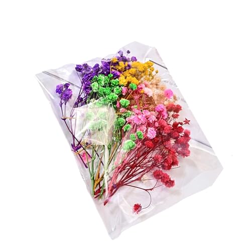 Ramo de Flores Secas en Resina para Decoración miniatura 6