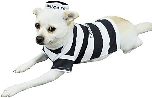 Otis and Claude Fetching Fashion Prison Pooch Costume Large_LQ