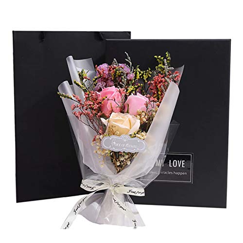 Jiont Go \[vt[ Ό ͂Ȃ  o KN  Ό ԑ {bNXt n z[ fR[V ̓ }} e  a j  v[g