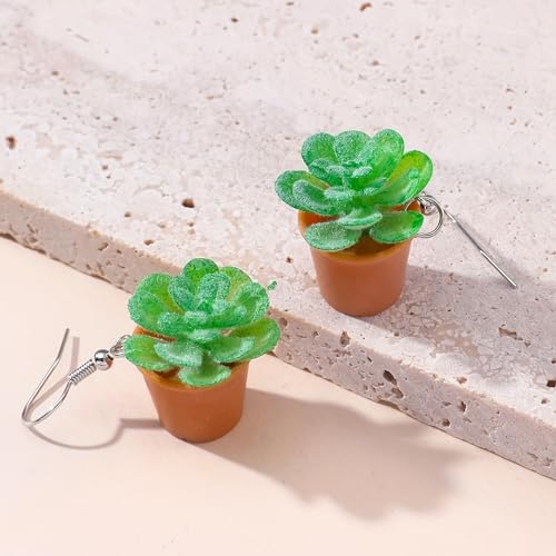 Unique Hanging Plant Earrings - Flower Pot & Cactus Designs - Women's Gifts4