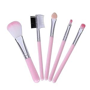 Professional Cosmetics Makeup Soft Brushes organizer Kit Eye Shadow Eyebrow Eyeliner Eyelash Lip Makeup Brush Tools (Multicolor)