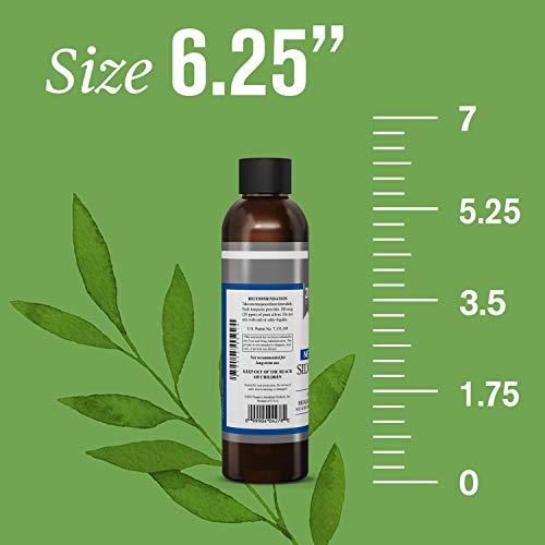 Nature's Sunshine Silver Shield Liquid, 6 Fl Oz | Colloidal Silver Liquid With Aqua Sol Technology Provides Immune Support And Protection #TOP2