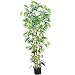 Nearly Natural 5214 Bambusa Bamboo Silk Tree, 6-Feet, Green