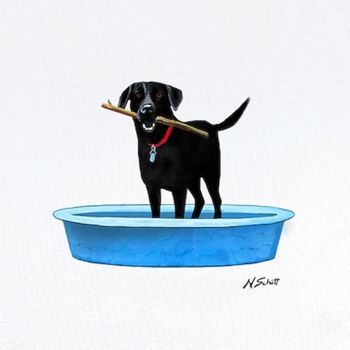 CafePress Black Labrador Retriever in Kiddie Pool Body Suit Cute Infant Bodysuit Baby Romper2