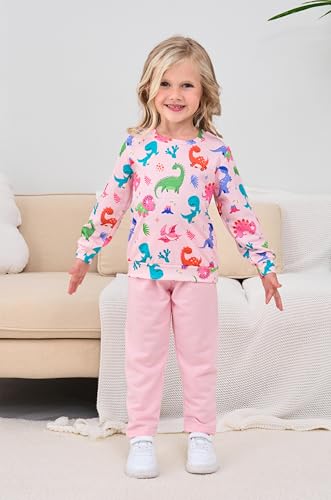 Image of Little Girls Outfits 2 Piece Toddler Long Sleeve Sweatshirt Leggings Pants Fall Winter Clothing Set 2-10 Years