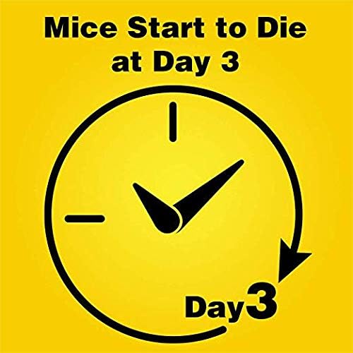 2 Pk. D-Con Mouse Poison Bait Station (6 Stations and 6 baits)