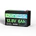 Dyness 12.8V 6Ah Mini Lithium LiFePO4 Battery, 76.8W Lithium Battery Built-in 6A BMS, A+ Grade Cell 4000+ Deep Cycles, Automotive Battery Perfect for Kid Cars, Fish Finder, Power Tools, Camping, UPS