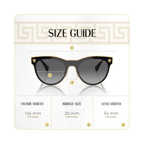 Versace VE2198 MEDUSA CHARM Round Sunglasses For Women +BUNDLE with ACCESSORY EYEWEAR KIT4