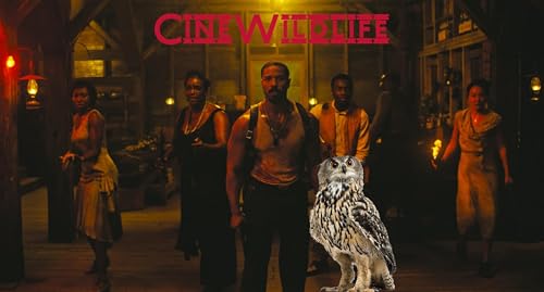 Cine Wildlife - Sinners: il peccato come eredit&agrave; culturale