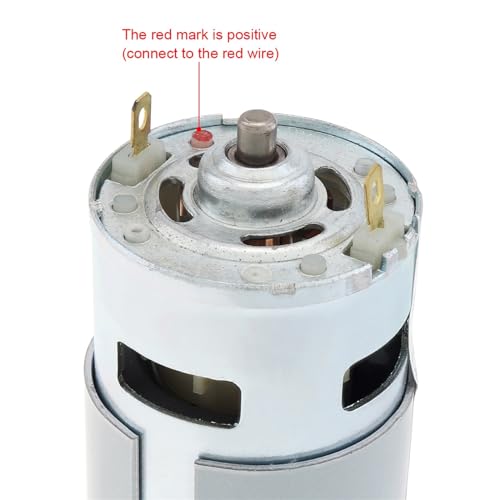 Motor de torsión 12-24V con doble rodamiento de bolas 4