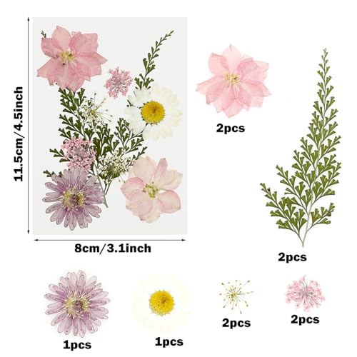 Cayway 40 flores secas prensadas naturales para manualidades miniatura 3
