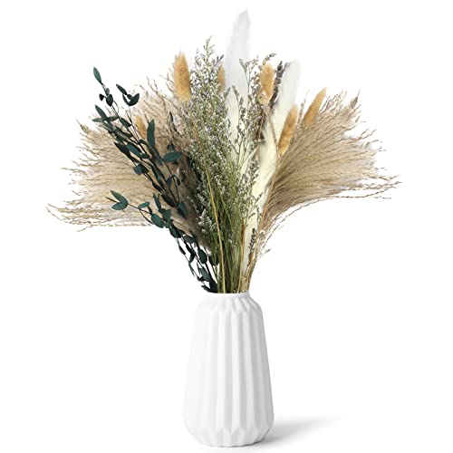 Trockenblumenstrauß Tischdeko Pampasgras Trockenblumen Deko, Getrocknete Blumen Pflanzen Tisch Deko Pampasgras Klein Groß Schlafzimmer Wohnzimmer Deko Modern Trockenblumen Weihnachten Pampas Grass Cover