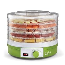 Desidratador de Alimentos