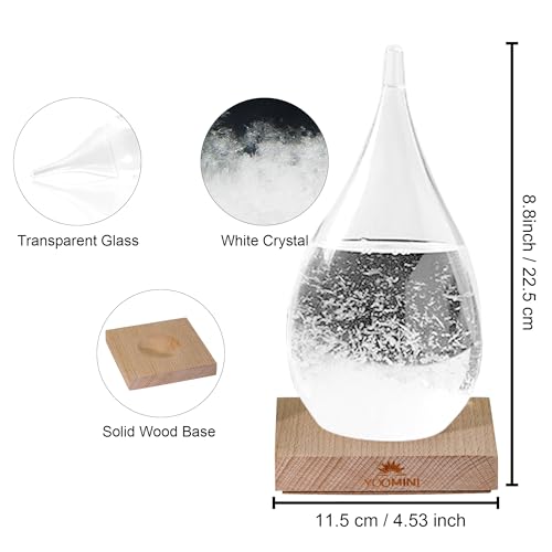 Storm Glass Weather Predictor - Weather Forecaster Station with Wooden Base for Home and Office Decor, Snow Globe Barometer, Creative Christmas Birthday Gifts for Him, Her
