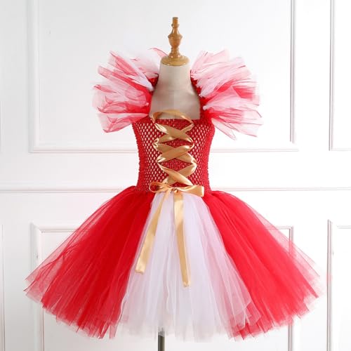 Robe de danse classique et tutu de ballet rose pour filles