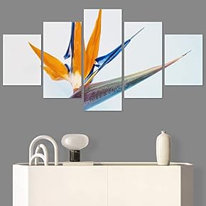 SIGNWIN 5 Panel Canvas Wall Art Bright Flowers...