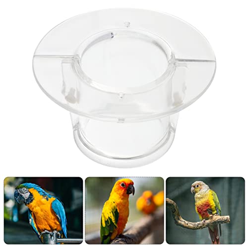 POPETPOP Bird Anti- bite Collar Parrot Neck Collar Elizabethan Bird Recovery Collar Wound Healing Cone for Parakeet Conure Cockatiel African Necklace - Image 3