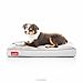 Brindle Soft Shredded Memory Foam Dog Bed with Removable Washable Cover - 28in x 18in - Stone