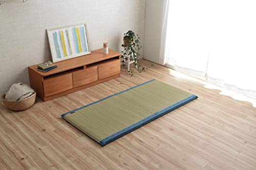 イケヒコ い草 クリア マット くつろぎ お昼寝 抗菌防臭 消臭 シンプル 小林製薬コバガード使用 約70×150cm ブルー #7559189