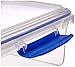 Sistema KLIP IT Rectangular Collection Food Storage Container, 33.8 oz./1 L, Clear/Blue
