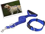 The Instant Trainer Leash - For Dogs Over 30 lbs - As Seen on TV