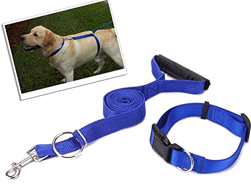 POPPEE Dog Leash Trains Dogs 30 Lbs Stop Pulling As Seen On Tv Dogwalk