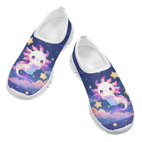 Axolotl Shoes for Girls School Sneakers Breathable Mesh Slip on Athletic Running Tennis Shoes US 11-2.52