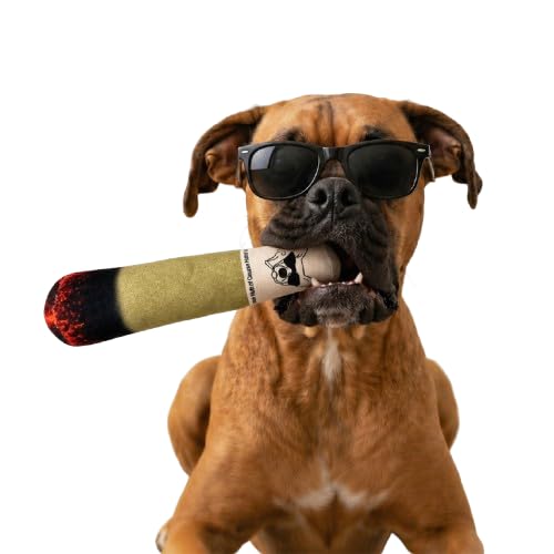 Image of Mutt of Course Joint Squeaky Dog Toy Interactive Chew Plaything for Large Breeds | Medium Pets | Boredom Toy