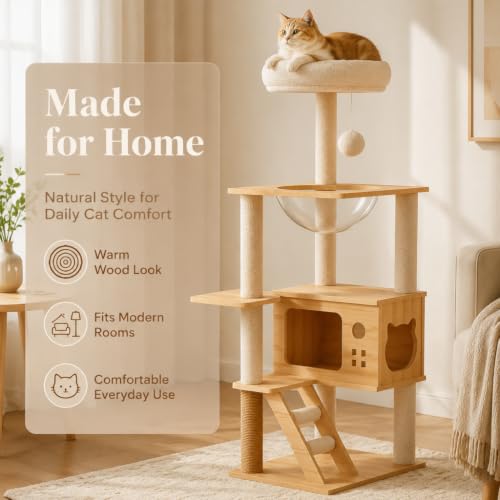 Árbol para gatos de madera sólida con cápsula transparente miniatura 6