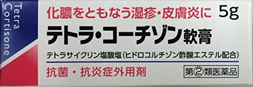 【指定第2類医薬品】テトラ・コーチゾン軟膏 5g