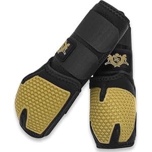 RS Premium Design Gold Line Horse Boots | Comfortable, Protective & Shock Absorber | Sport Boots for Horses Best for Jump Training | Ok Fabric 1682D Provides Ultimate Flexibility