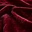 Garnet Red
