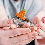 4 pieces hamster hat mini small animals hat with adjustable strap lovely hand knitted frog rainbow carrot tiny hats for lizard guinea pig reptile christmas holiday party clothes costume accessories 11 4134fxu7atl. Sl500. Ss150