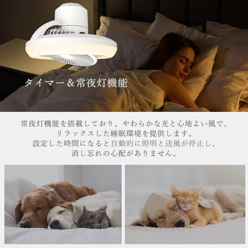 Tenten 点 点 スマート LEDシーリングライトファン TS-A2/TS-A3 の商品画像 4