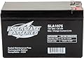 Interstate Batteries 12V 8Ah Battery (SLA1075) Sealed Lead Acid Rechargeable SLA AGM (F1 Terminal) Wireless Internet UPS Systems, FIOS, SP12-7