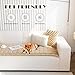 ZQFFB Pet Couch Cover Dogs Washable Non-Slip Couch Protector Pet Friendly Dog Mat for Couches and Sofas