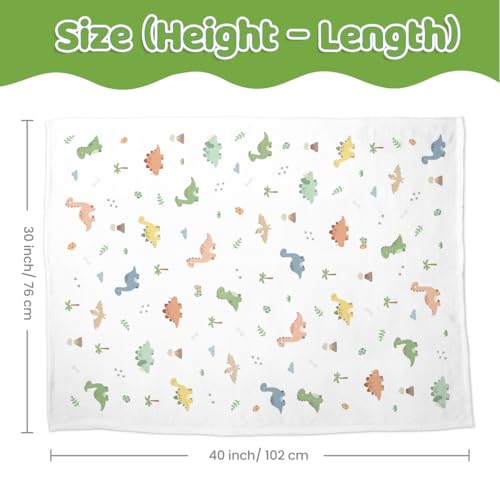 Image of SANDJEST Dinosaur Minky Blanket 30 x 40 Inches, Gift for Christmas Birthday