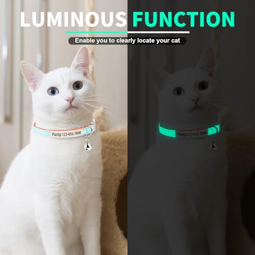 Individuelles im Dunkeln leuchtendes Katzenhalsband – Personalisiertes Katzen-ID-Halsband mit Name & Telefonnummer, Leuchtendes verstellbares Halsband mit Schnellverschluss für Haustiere