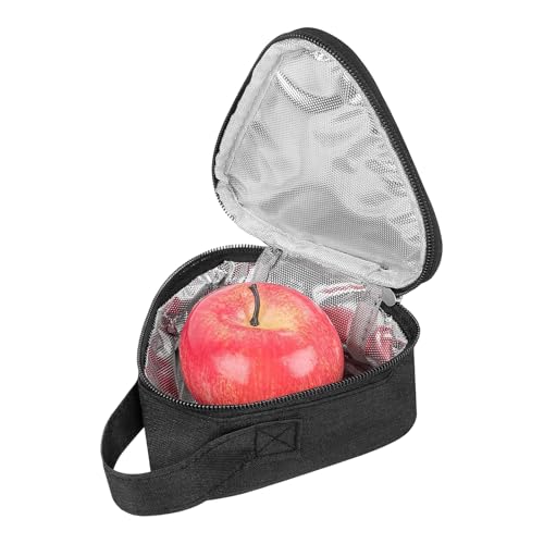 Fruusv - Bolsa de almuerzo isotérmica para alimentos (bolsa de almuerzo reutilizable, para adultos y trabajo, escuela, viajes, picnic, playa, transporte diario