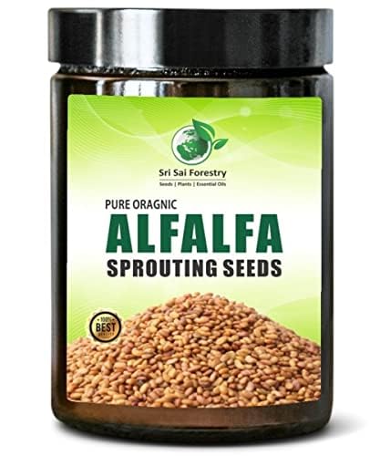 SRI SAI FORESTRY - Alfalfa Sprouting Seeds - Organic | 500 Grams | Perfect for Sprouting & Microgreens, Premium Alfalfa Sprout Seeds, Non-GMO