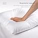 puredown® Natural Feather Down Throw Pillow Inserts 20 x 20 (Set of 2, White), Décor Pillow for Couch, Chairs, Office, Apartments
