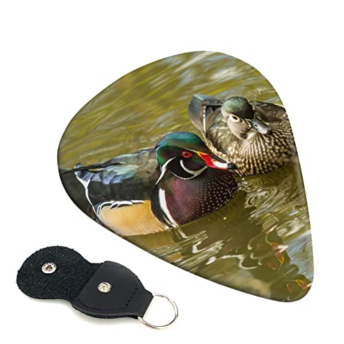 Domestic Duck Lot de 6 médiators pour guitare acoustique, guitare électrique, basse, ukulélé – fins, moyens et épais. - Les Beatles, Paul McCartney, John Lennon, RIngo Starr, George Harrison Domestic Duck Lot de 6 médiators pour guitare acoustique, guitare électrique, basse, ukulélé – fins, moyens et épais.
