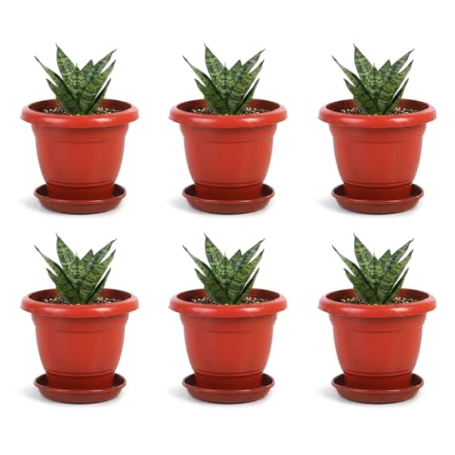 Image of Bonkaso 8 Inch Plant Pots with Drainage Plate (Set of 6, Red) | Heavy Duty Plastic Flower Pots for Indoor & Outdoor Plants | UV Resistant Garden Pots for Balcony, Terrace, Home & Nursery