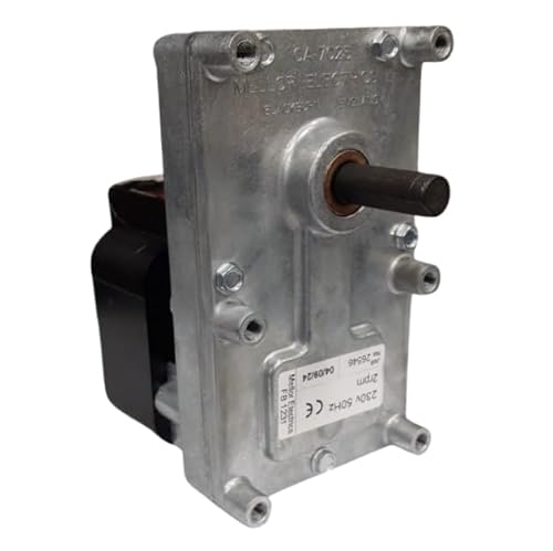 Motor de engranaje de 2 rpm