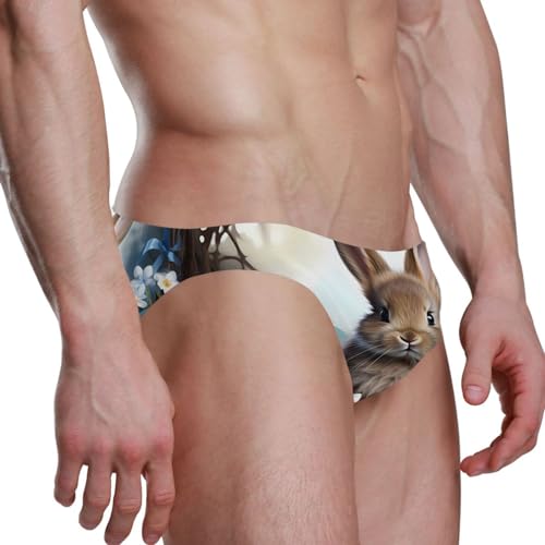 Mens Easter Bunny Rabbit Eggs Bikini Swimsuit Swimwear Swim Briefs for Men 213415463