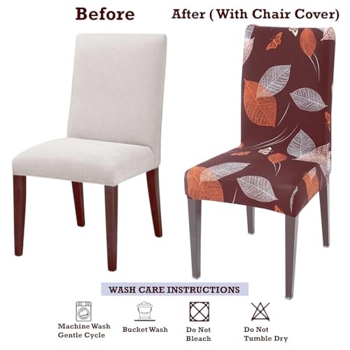 Image of Stretchable Dining Chair Cover - Washable, Removable, Anti-Slip, Protector, Universal Fit (Set of 1, Maroon Leaf)